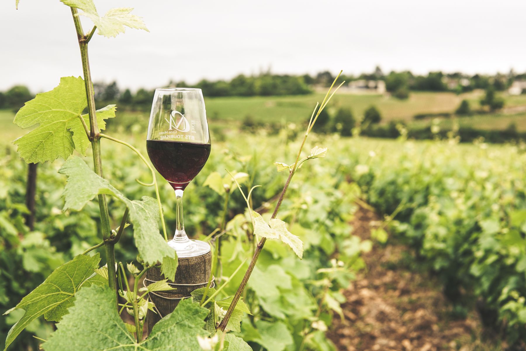 Verre de vin rouge, Bourgogne-Franche-Comté