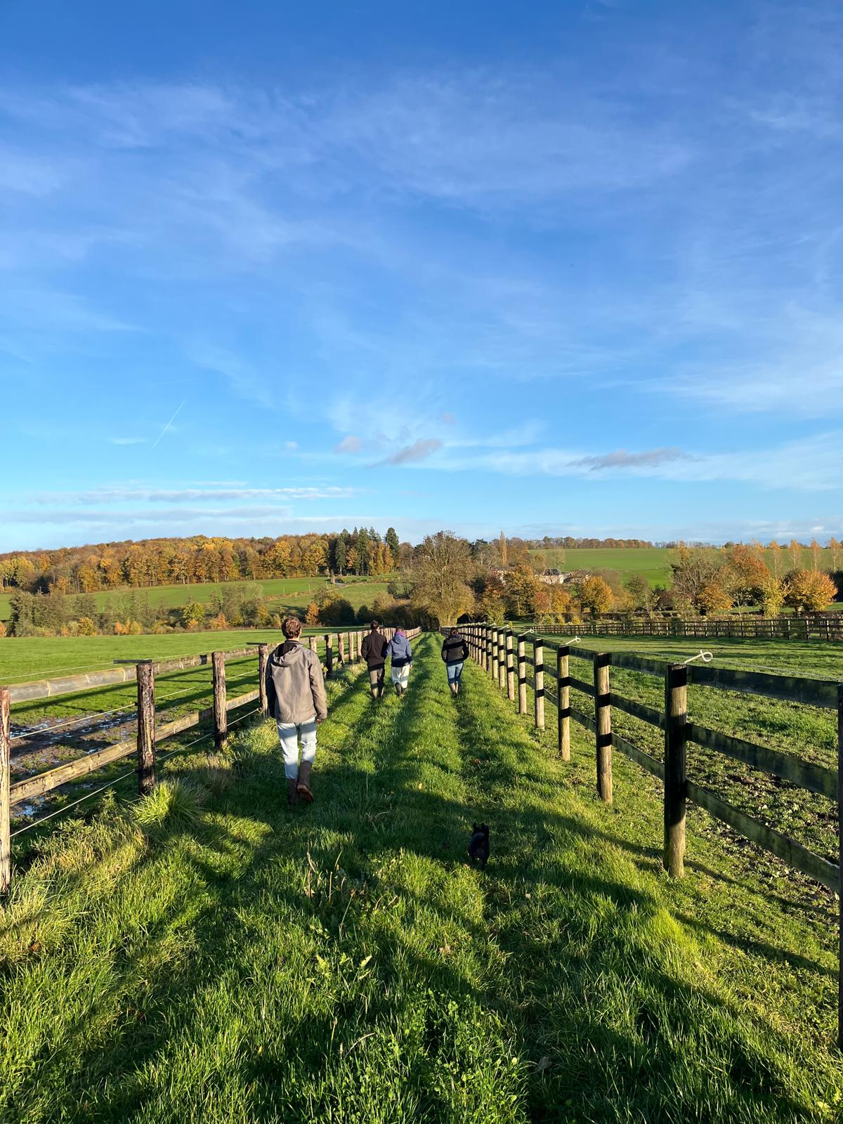 Participants en balade dans les prés du haras pendant une pause de la formation résidentielle IA